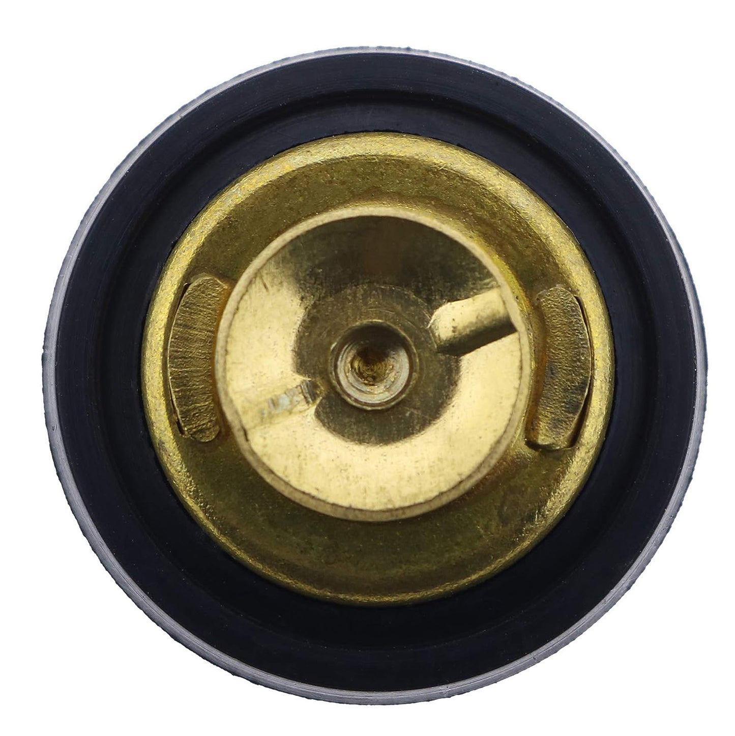 19300-ZW9-003 Thermostat Compatible with Honda BF8D BFP8D BF9.9D BFP9.9D BF15D